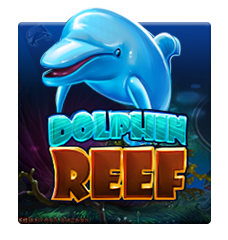  Dolphin ReefJoker